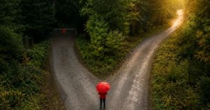 The Secret to Success Wasn't Hidden—It Was Just Overlooked
