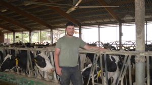 Riesen-Ventilatoren für Kühe: So geht Landwirt Andreas Jäger mit heißen Sommern um
