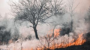 Incendio a Creta, morti due vigili del fuoco. Sull’isola di Paros evacuati centri abitati