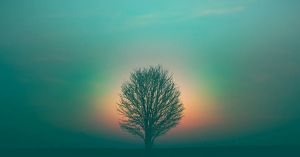 Transpersonal Psychology: The Field That Died and Won