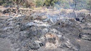 El fuego ya no se combate solo en verano