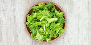 If You Get Explosive Diarrhea This Summer, Blame Big Food and Its MAGA Enablers