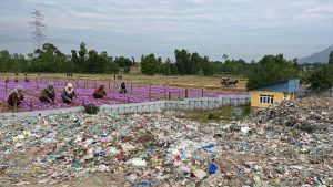 Kashmir Is Burying Its Most Famous Crop Under Garbage