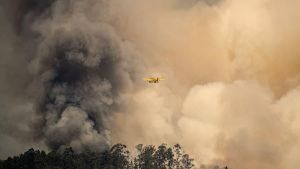 La batalla por explicar los incendios