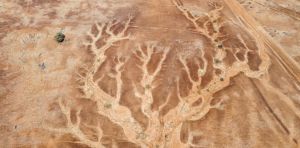 Flash droughts pull ‘alarming’ amounts of moisture from the landscape and intensify wildfires: new research