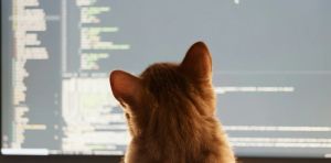 ‘Vibe coding’ is fun and easy, but there’s a major catch