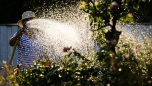 Wetter heute: Bis zu 39 Grad und schwere Gewitter