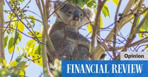 The carbon offset fantasy is falling apart