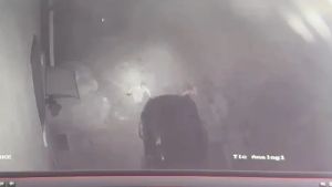 Rubano una Mercedes a spinta per non fare rumore, poi il raid in case e tabaccheria