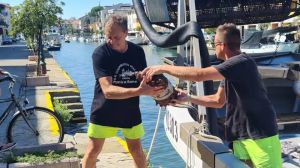 L’invasione del granchio blu, l’impatto sulle reti da posta: un tavolo per la crisi dei pescatori di Grado