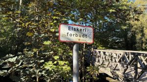 Her er Horsens' mest populære steder til sex i det fri