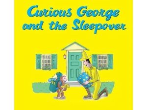 Summer reading picks from library customers, staff