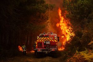Mégafeu « stabilisé » en Gironde, reprises de flammes à Fontainebleau, flammes fixées dans le Var… Le point sur les incendies