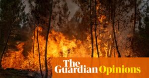Europe is burning – and if Trump’s war on the climate is not met with sanctions, things will only get worse
