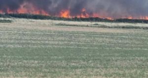 More than 100 firefighters battle major blazes in one night amid drought conditions