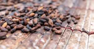 Cuando el cacao cruza océanos