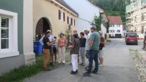 Ungewöhnliche Lebensräume für wilde Pflanzen in der Stadt