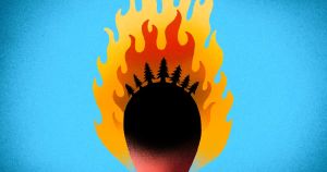 Wenn der Wald zur Feuerfalle wird