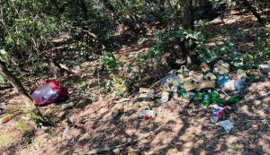 Cala del Leone, gli incivili insistono: rifiuti abbandonati lungo la discesa
