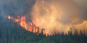 Climate: What to do now