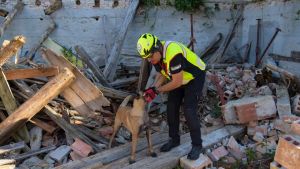 Soccorsi internazionali fra le rovine di un sisma: esercitazione ad Amaro