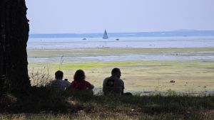 Hitzerekorde von fast 40 Grad: An vielen Orten in der Region wurde nie ein heißerer Julitag gemessen