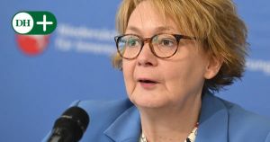 Das schützt die Demokratie nicht – es schadet ihr