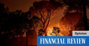 Carbon credits need fixing, not killing