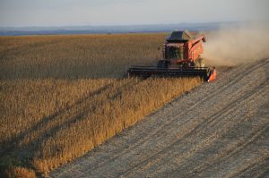 Farmers slow soy sales, but it’s actually good news for the economy
