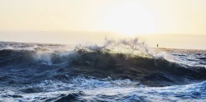 Falls in whale sightings, rare seabirds appearing – is something unusual happening in the Southern Ocean?
