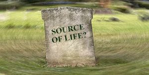 Is Life Itself a Memorial?
