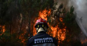 Deutschland braucht ein Waldbrand-Kompetenzzentrum