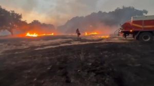 Incendios sin fronteras y mamarrachos de sexta generación