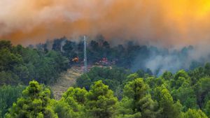 Fuego por inconsciencia