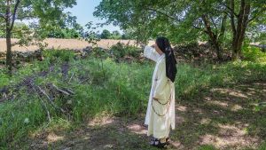 ”Det finns inga bullervallar i världen som står emot. Får NCC tillstånd går Rögle kloster under.”