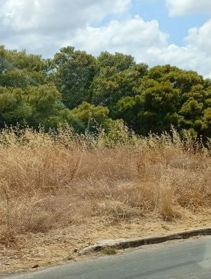 Ανησυχία για “εύφλεκτα” οικόπεδα