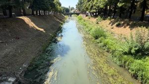 Siccità, nella Bassa padovana a rischio pure l’acqua potabile