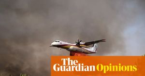 I study the boreal forest. This summer wildfires came for my home