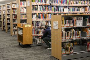 AI companies are destroying books. What will they come for next?