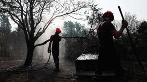 Was vom Feuer übrig blieb