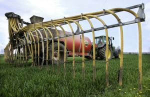 Læser: - Biogasproduktion er ikke afhængig af gylle