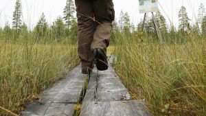 Politiikka | Lukijalta: Metsähallitus ylläpitää jatkossakin maksuttomia retkeilypalveluja