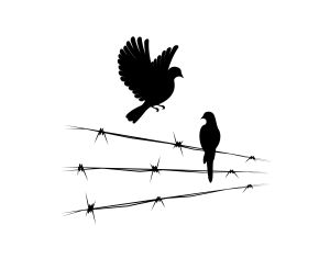 Barışı herkes istiyorsa, savaş neden bitmiyor? Gazze, İran ve büyük güçlerin kayıp barışı