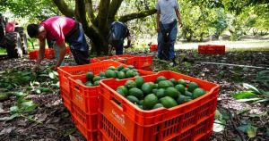 T-MEC: Tercera Ronda de Negociaciones