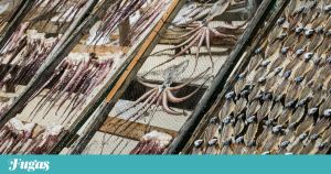 Em Esteiro, com “Polbo á feira”, a grande perdição galega
