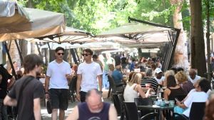 Tentata rapina in viale XX Settembre a Trieste, 35enne aggredito con lo spray urticante all'alba