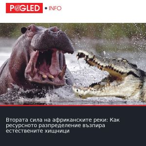 Втората сила на африканските реки: Как ресурсното разпределение възпира естествените хищници