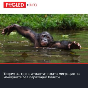 Теория за транс-атлантическата миграция на маймуните без параходни билети