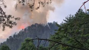 Emergenza incendi in Friuli: rogo attivo a Malborghetto, domato il fronte di Majano