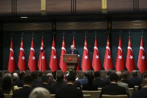 Yırtıcı kaplana karşı koruyucu ana ceylan